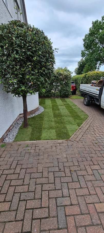 hedge and shrub planting