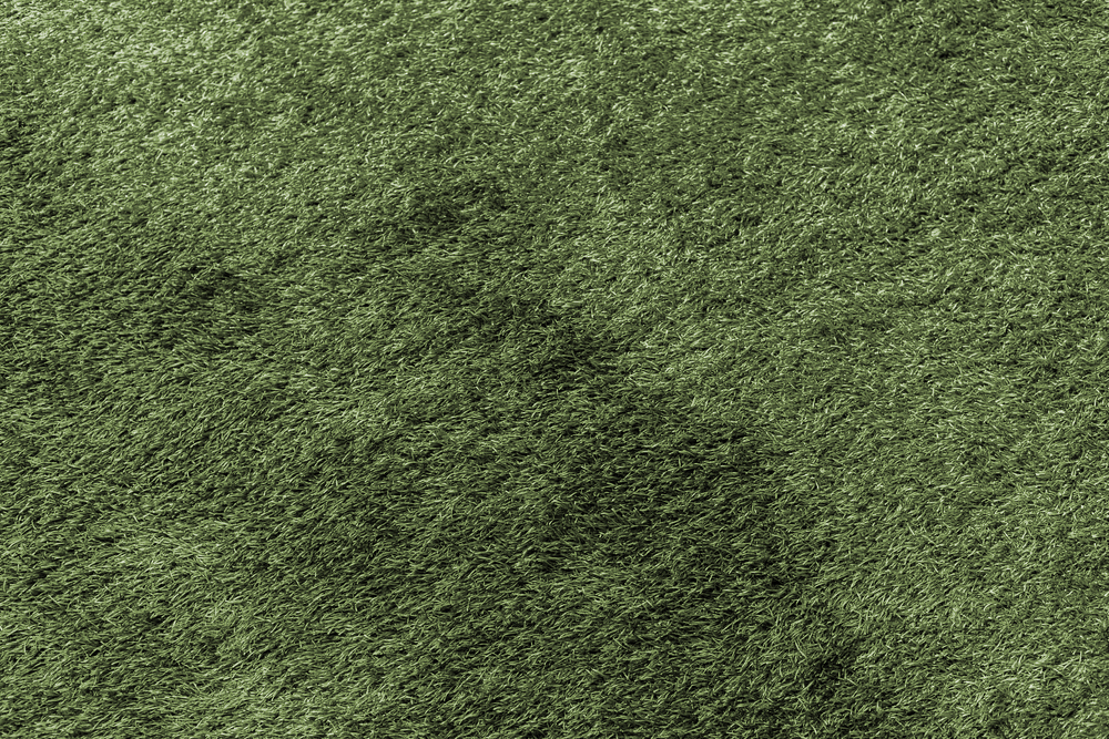 Green,Grass,Texture,From,A,Field,,,Green,Background